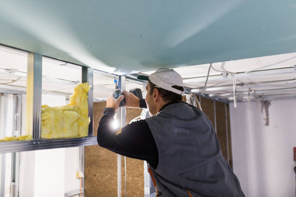 Best Best Insulation Companies  in Pinedale, WY