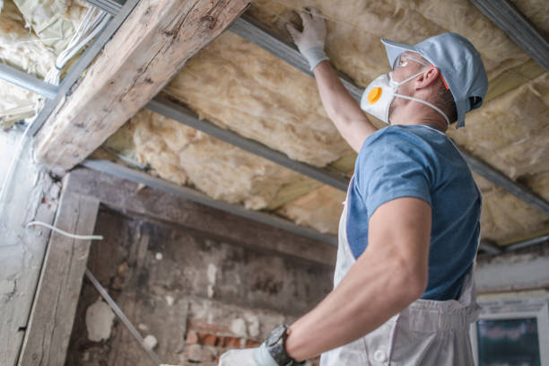 Best Wall Insulation Contractor  in Pinedale, WY