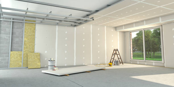 Best Insulation Removal  in Pinedale, WY