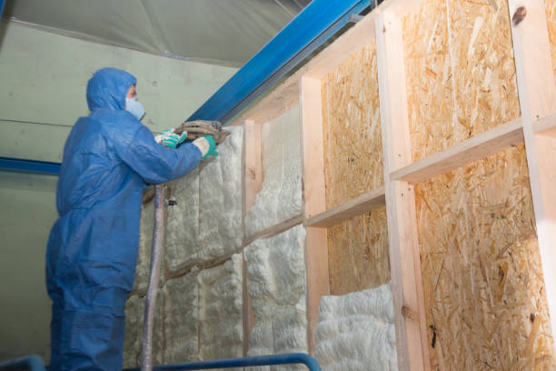 Best Best Insulation Companies  in Pinedale, WY