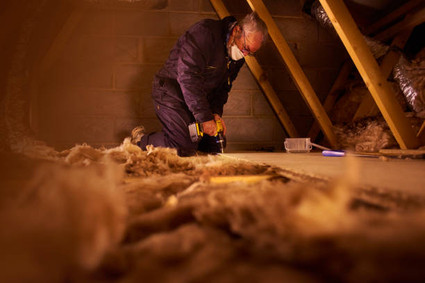 Best Insulation Inspection Services  in Pinedale, WY